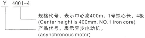 西安泰富西玛Y系列(H355-1000)高压YJTG-200L-4A/30KW三相异步电机型号说明